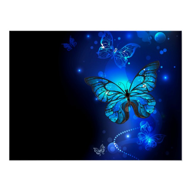 Póster Mariposa Morpho en fondo oscuro (Anverso)