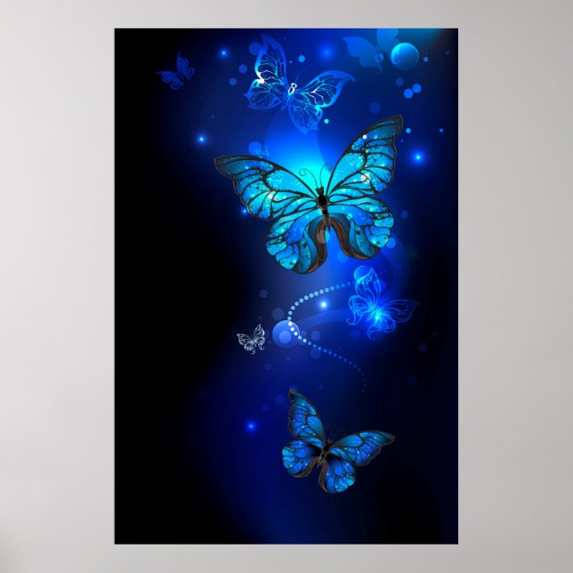 Póster Mariposa Morpho en fondo oscuro (Frente)