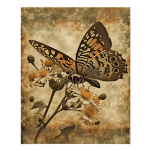 Póster Mariposa Naranja de época con flores blancas