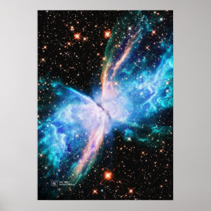 Póster Mariposa Nebula NGC 6302 - poster