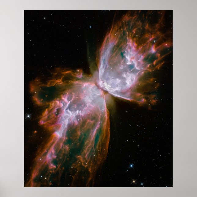 Póster Mariposa Nebulosa (Frente)