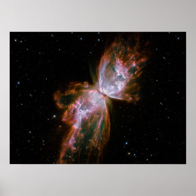 Póster Mariposa Nebulosa (Frente)