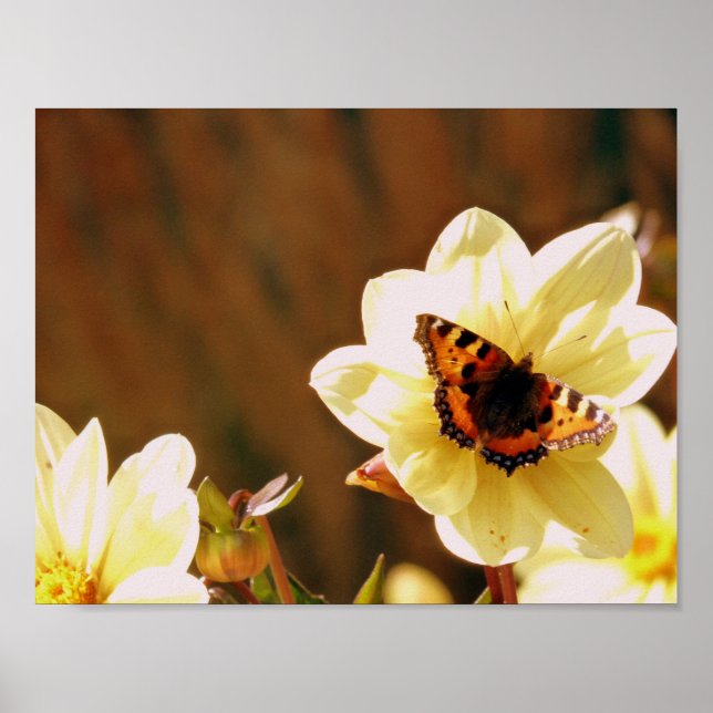 Póster Mariposa otoñal (Frente)