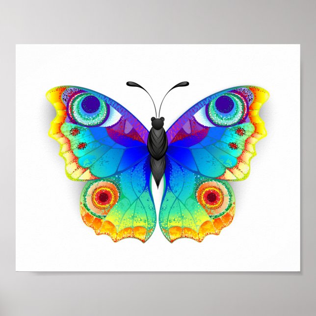 Póster Mariposa Pavo Real Ojo de Arcoíris (Frente)