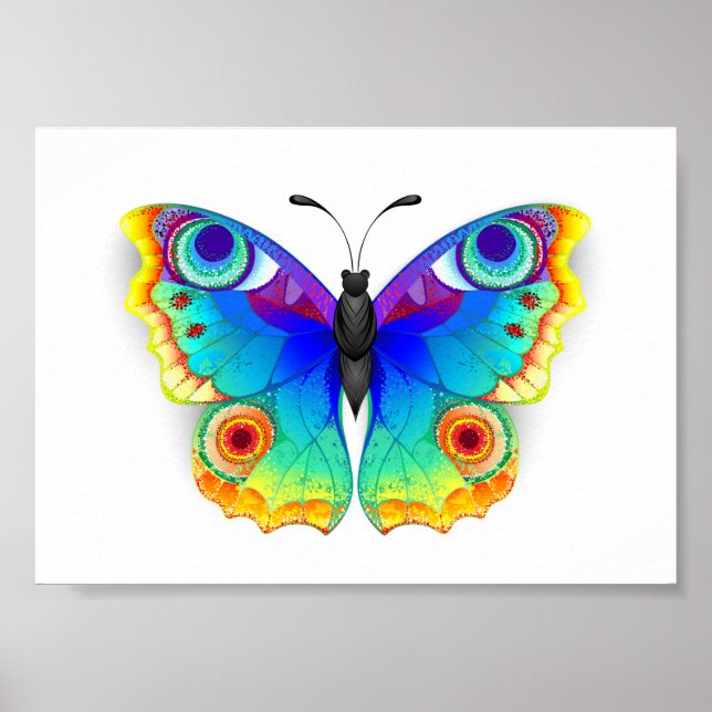 Póster Mariposa Pavo Real Ojo de Arcoíris (Frente)