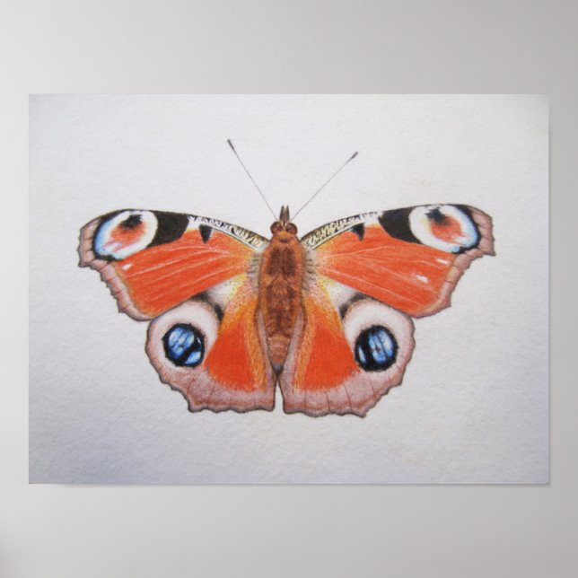 Póster Mariposa Peacock 2012 (Frente)