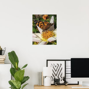 Póster Mariposa Pintada sobre Dahlia Blanca