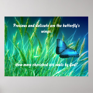 Póster Mariposa preciada