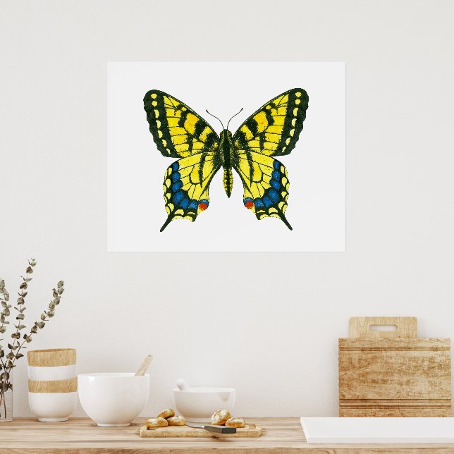 Póster Mariposa tigre (Cocina)