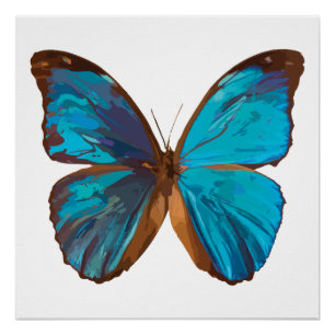 Póster Mariposa tropical azul y turquesa