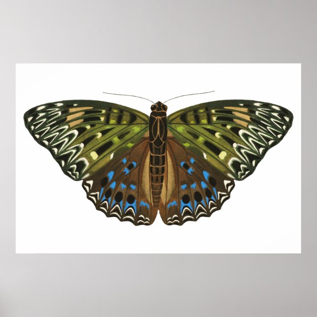 Póster Mariposa vintage Art Nouveau (Frente)