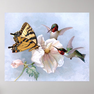Póster Mariposa y colibríes