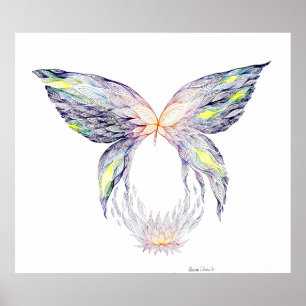Póster Mariposa y loto