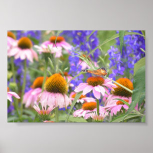 Póster Mariposa y margaritas
