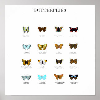Póster Mariposas