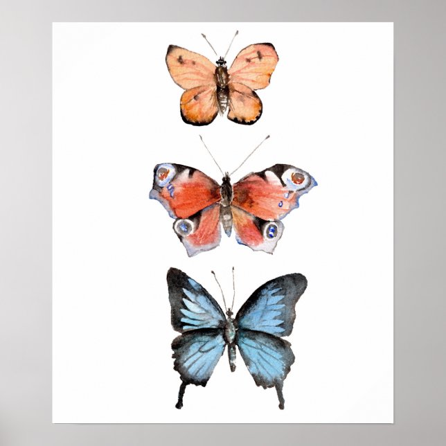 Póster Mariposas (Frente)