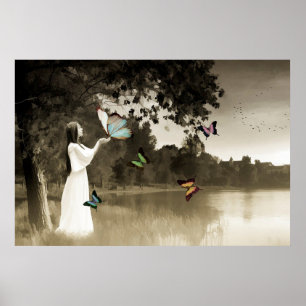 Póster Mariposas