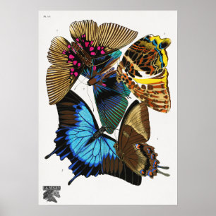 Póster Mariposas antiguas de E.A. Séguy (1925)