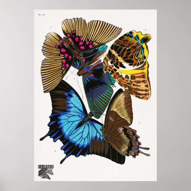 Póster Mariposas antiguas de E.A. Séguy (1925) (Frente)