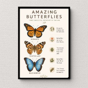 Póster Mariposas Asombrosas Educativo