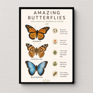 Póster Mariposas Asombrosas Educativo