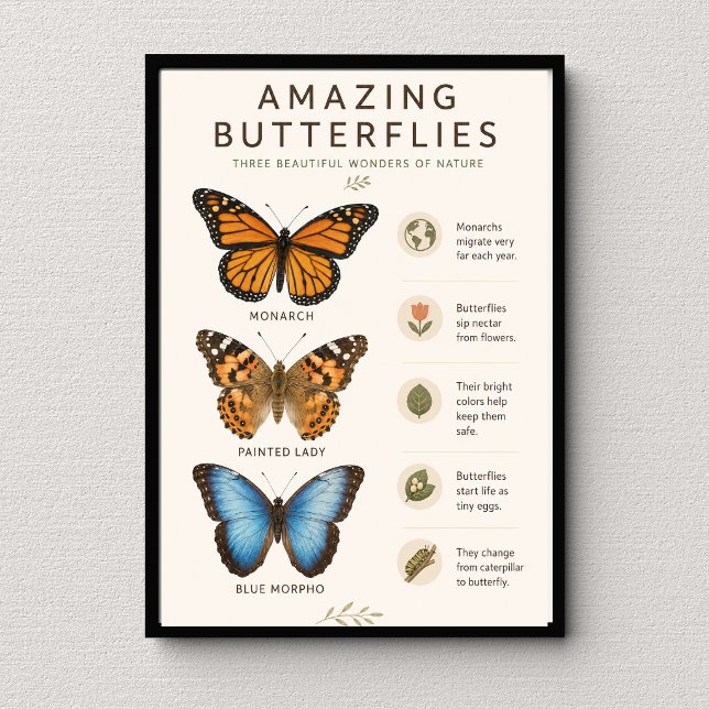 Póster Mariposas Asombrosas Educativo (Subido por el creador)