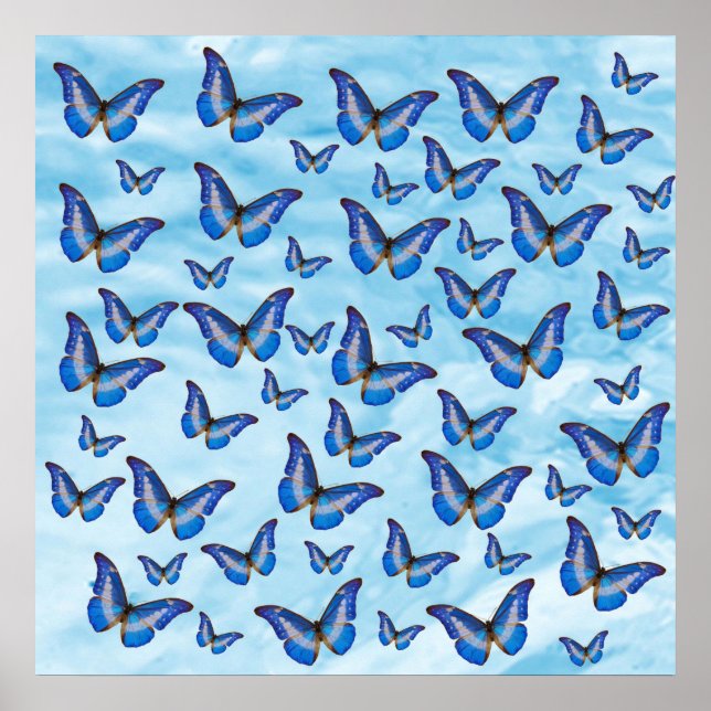 Póster Mariposas azules (Frente)
