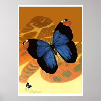 Póster Mariposas azules de Caspio sobre alas de crema nar