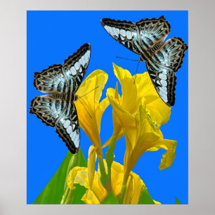Póster Mariposas de barquillos azules malayas en Canna Ki
