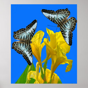 Póster Mariposas de barquillos azules malayas en Canna Po