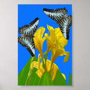 Póster Mariposas de barquillos azules malayas en Canna Po