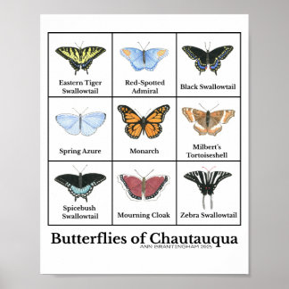 Póster Mariposas de Chautauqua