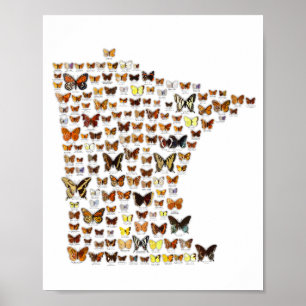 Póster Mariposas de Minnesota