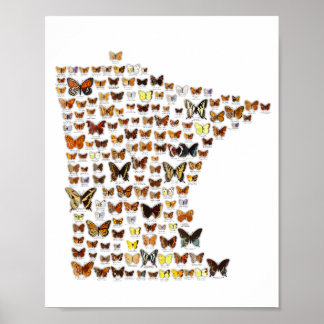 Póster Mariposas de Minnesota