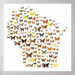 Póster Mariposas de Wisconsin