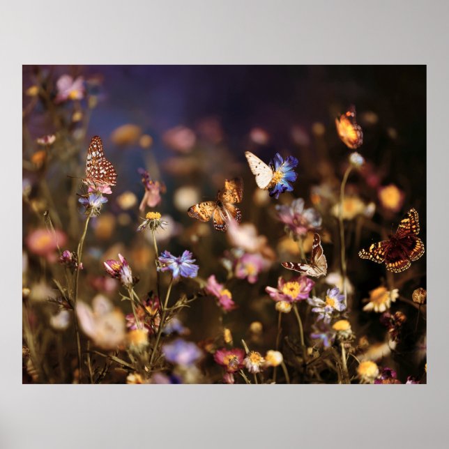 Póster Mariposas del Crepúsculo Pradera de Flores Silvest (Frente)