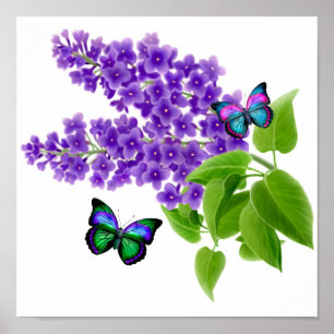 Póster Mariposas en las flores de la lila
