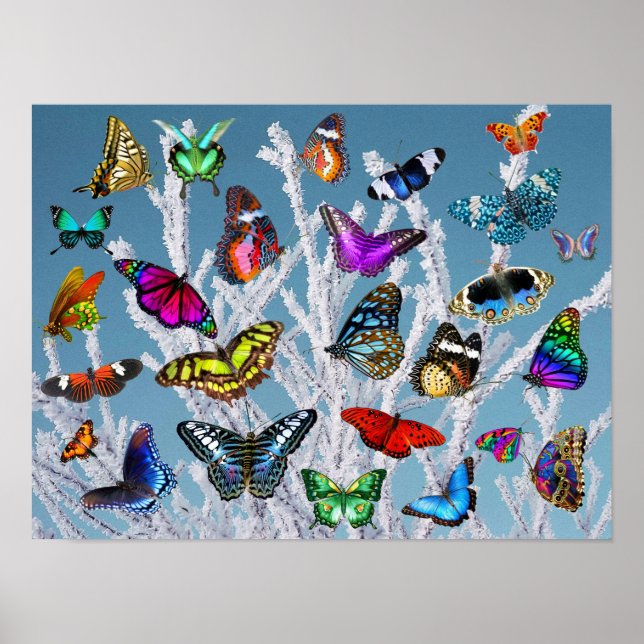 Póster Mariposas en las ramas. Naturaleza. El paisaje. (Frente)