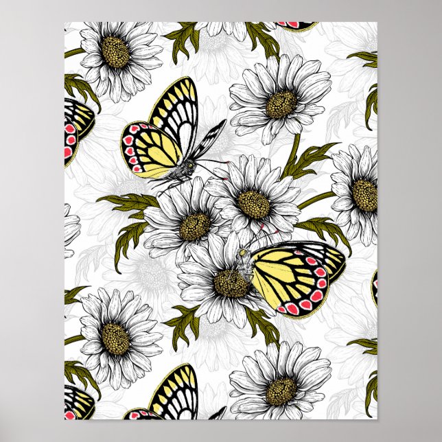 Póster Mariposas Jezebel y flores de margarita en blanco (Frente)