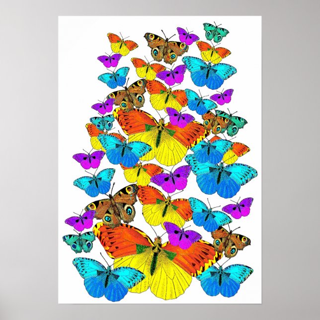 Póster ¡Mariposas! ¡Mariposas! (Frente)