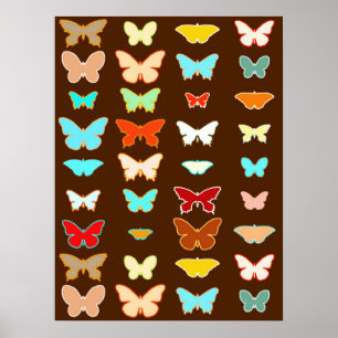 Póster Mariposas, marrones, turquesas y corales