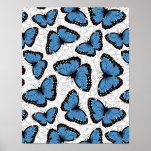 Póster Mariposas morfo azules