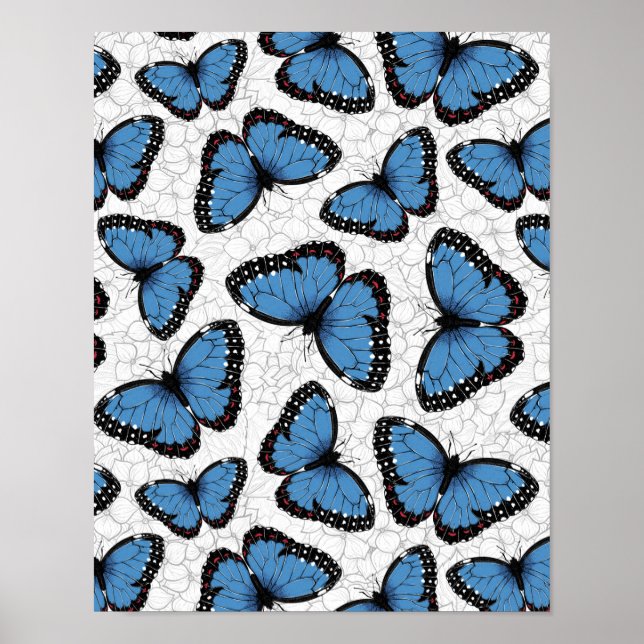 Póster Mariposas morfo azules (Frente)