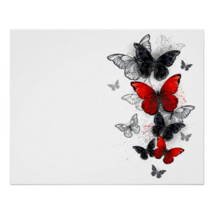 Póster Mariposas Morpho voladoras negras y rojas