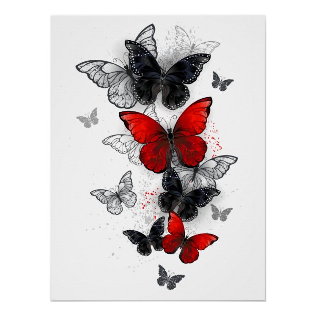 Póster Mariposas Morpho voladoras negras y rojas (Anverso)