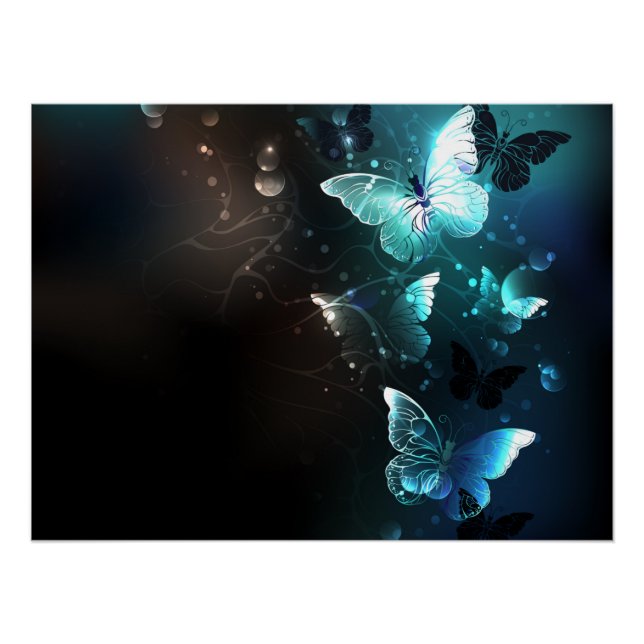 Póster Mariposas nocturnas (Anverso)