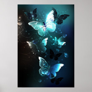Póster Mariposas nocturnas