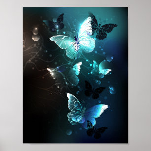 Póster Mariposas nocturnas