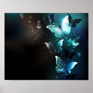 Póster Mariposas nocturnas de menta