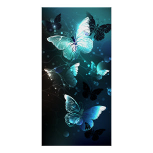 Póster Mariposas nocturnas de menta